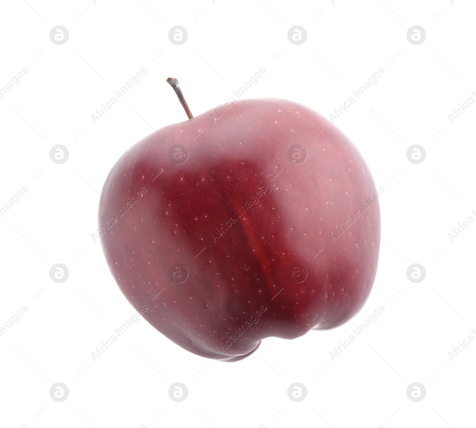 Photo of One ripe red apple isolated on white, top view