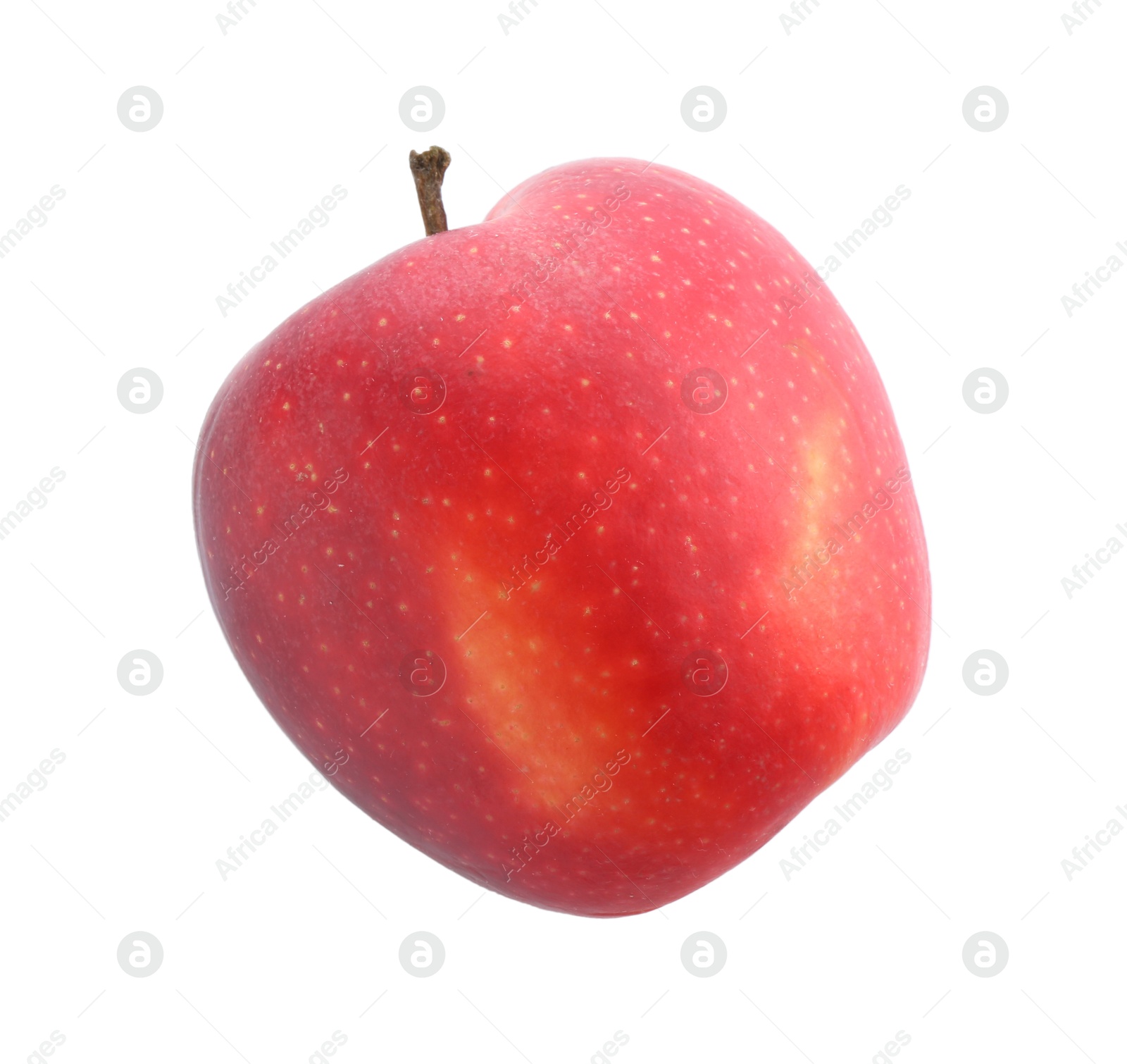 Photo of One ripe red apple isolated on white, top view