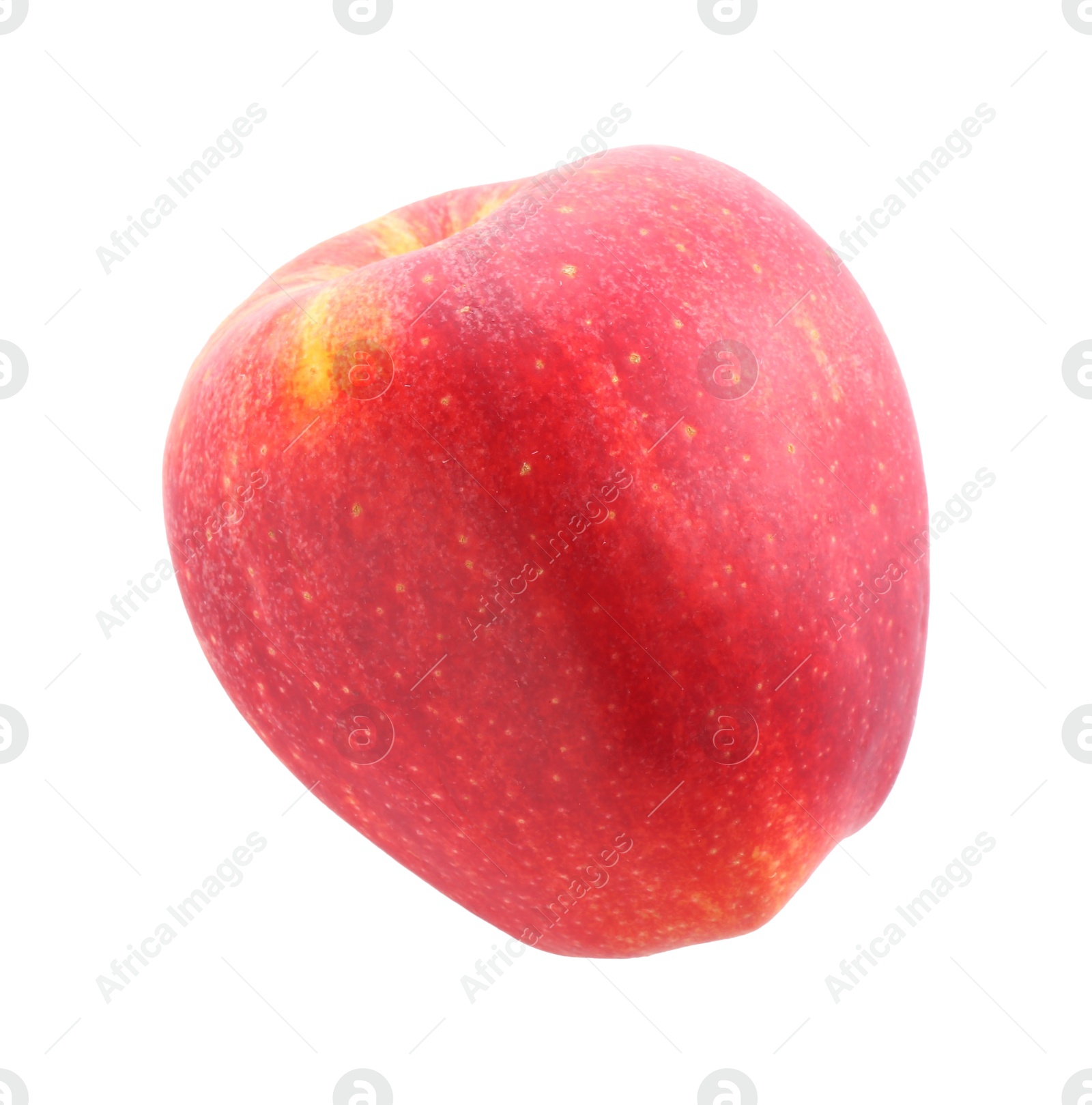 Photo of One ripe red apple isolated on white, top view