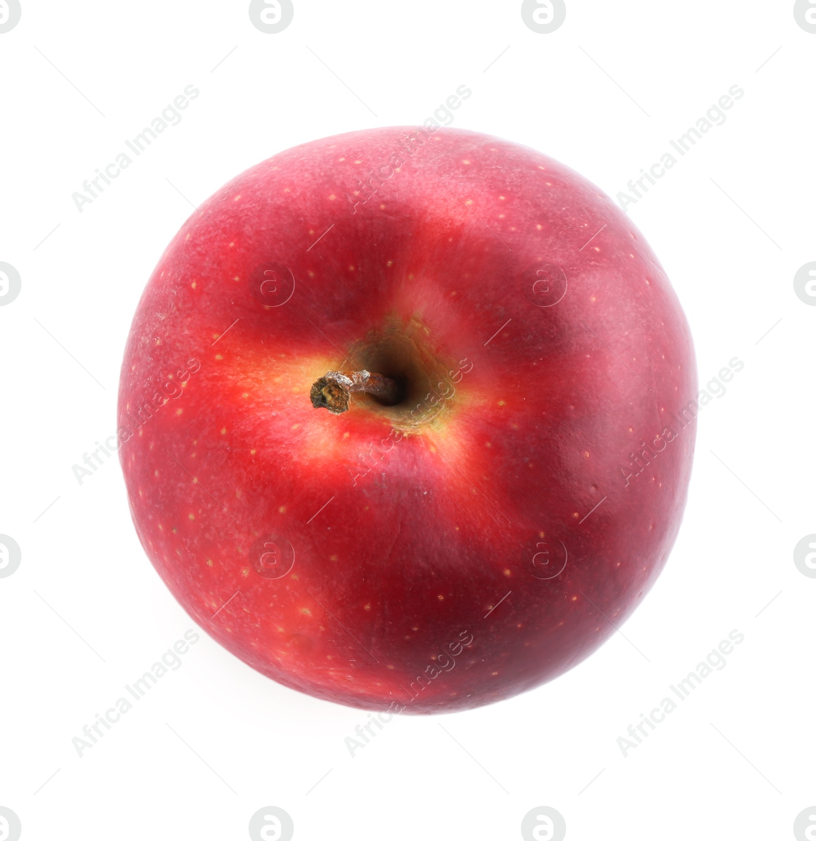 Photo of One ripe red apple isolated on white, top view