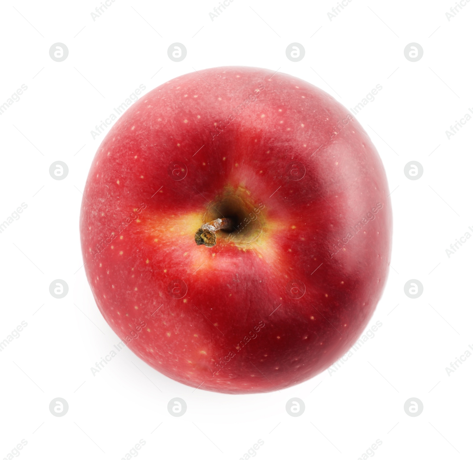 Photo of One ripe red apple isolated on white, top view