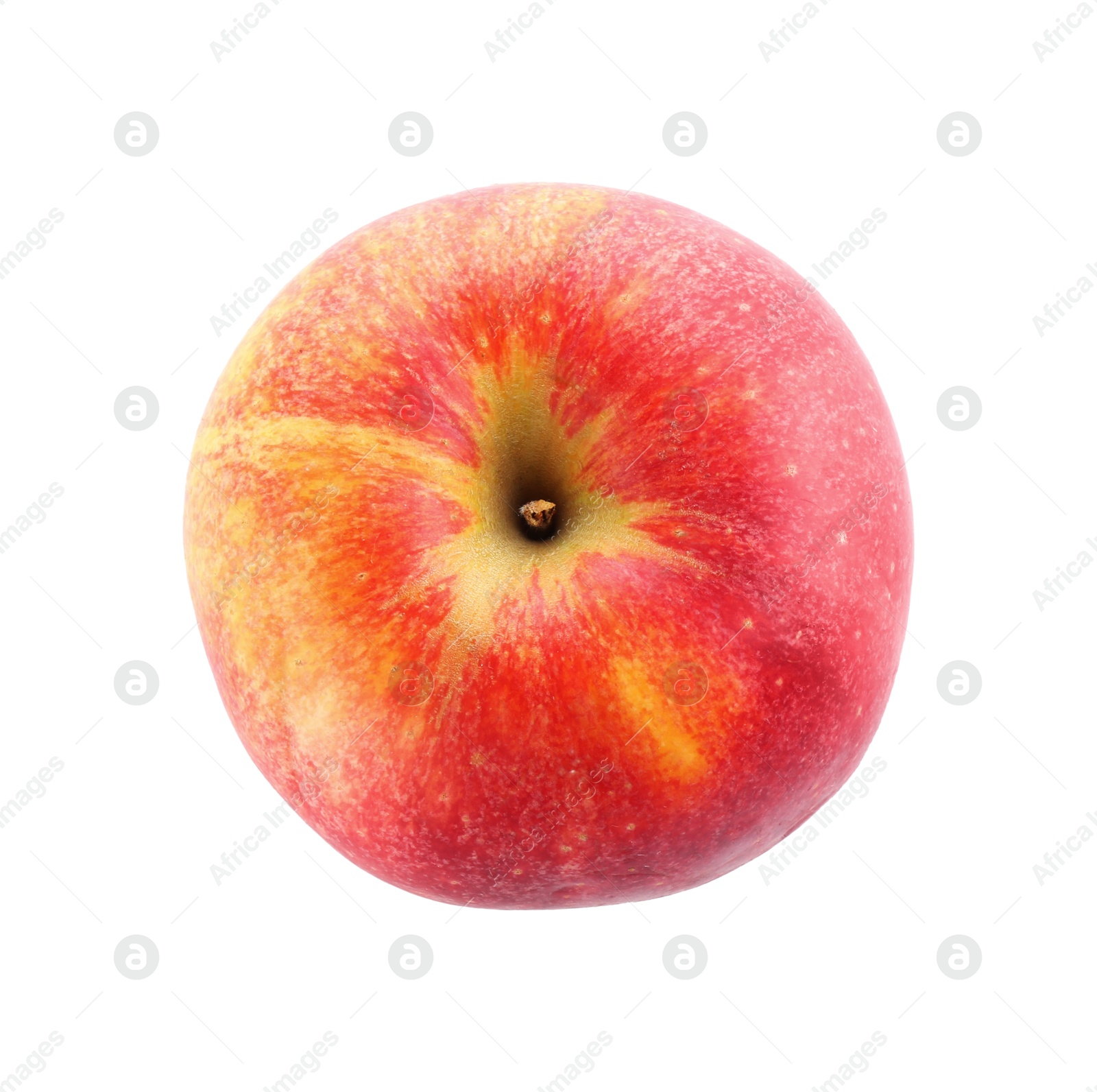 Photo of One ripe red apple isolated on white, top view