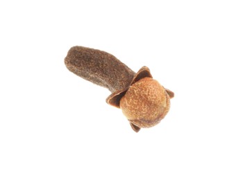 Photo of One dry clove bud isolated on white. Aromatic spice