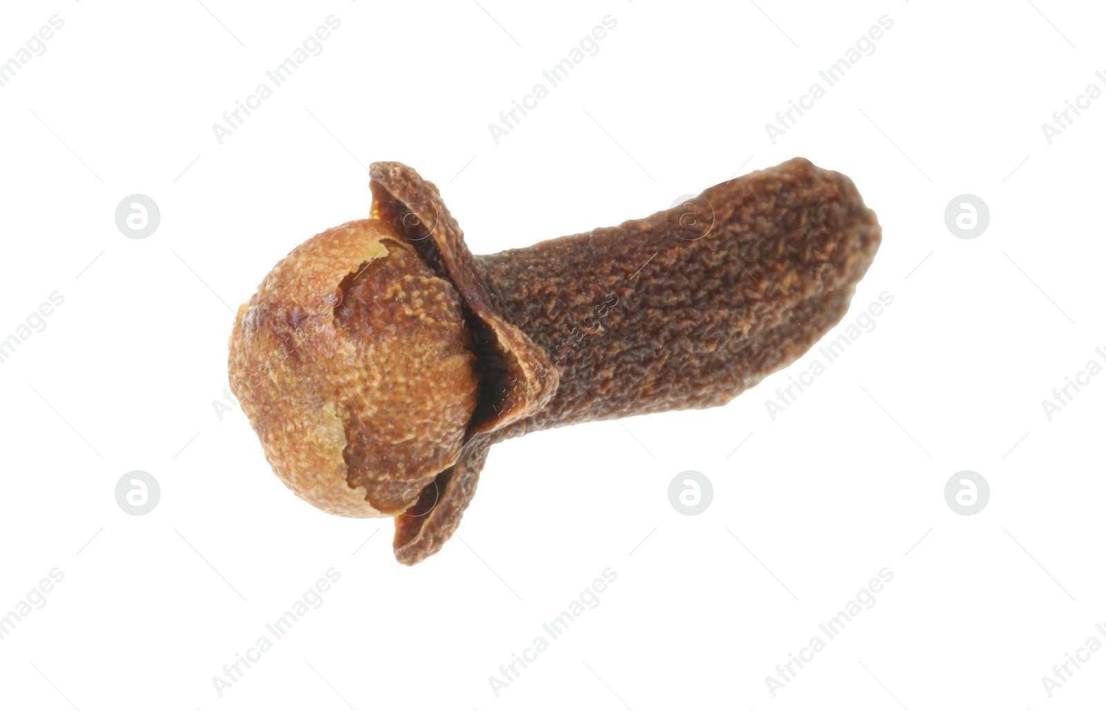 Photo of One dry clove bud isolated on white. Aromatic spice