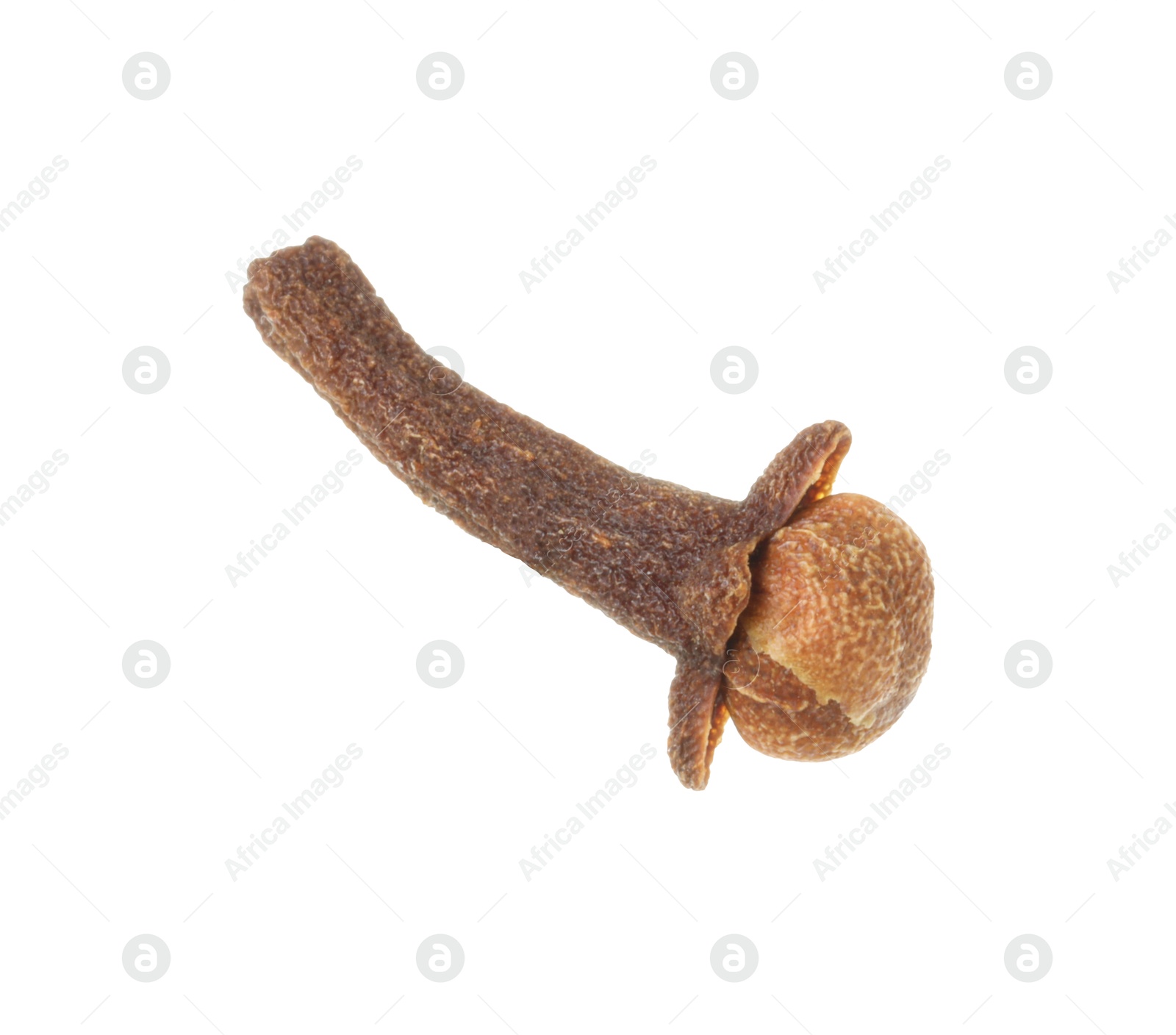 Photo of One dry clove bud isolated on white. Aromatic spice