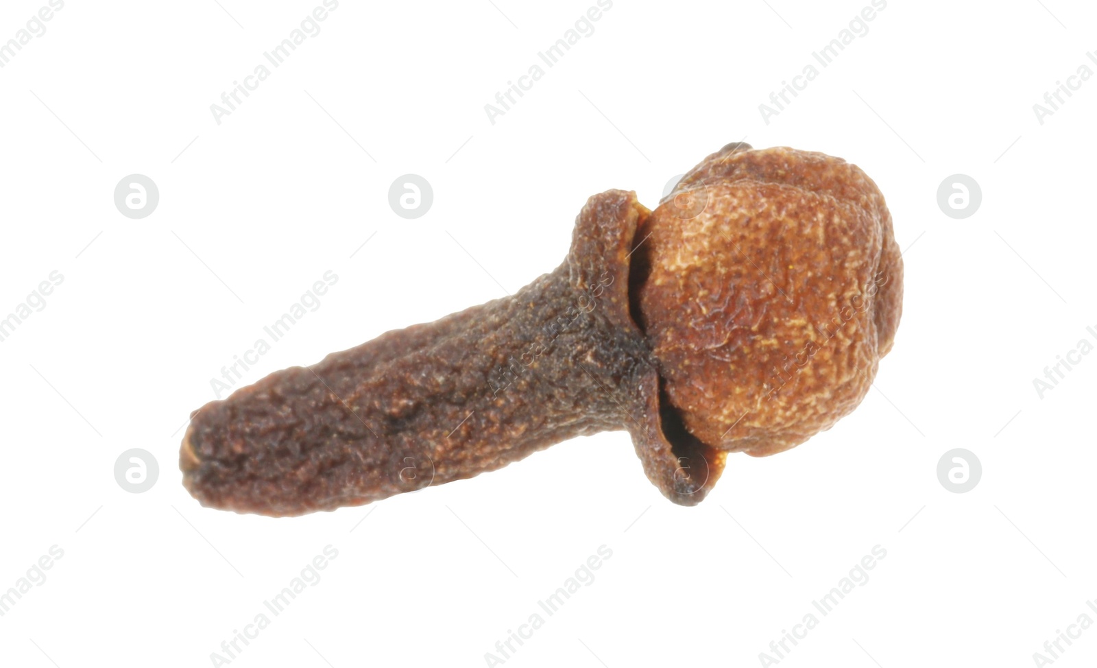 Photo of One dry clove bud isolated on white. Aromatic spice