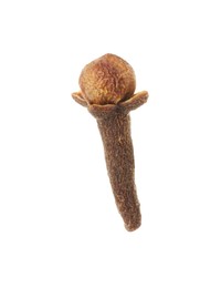 One dry clove bud isolated on white. Aromatic spice