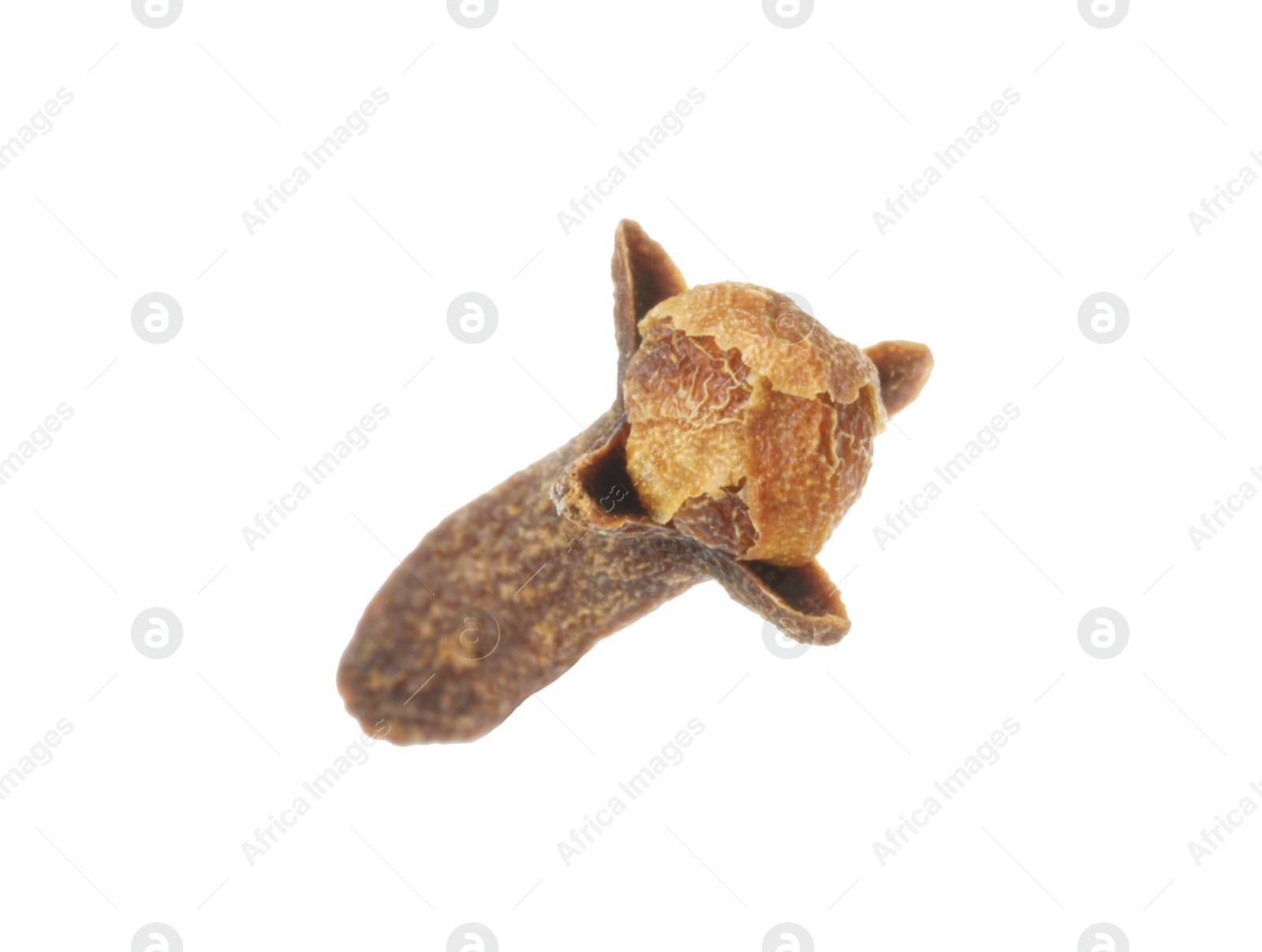 Photo of One dry clove bud isolated on white. Aromatic spice