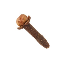 Photo of One dry clove bud isolated on white. Aromatic spice