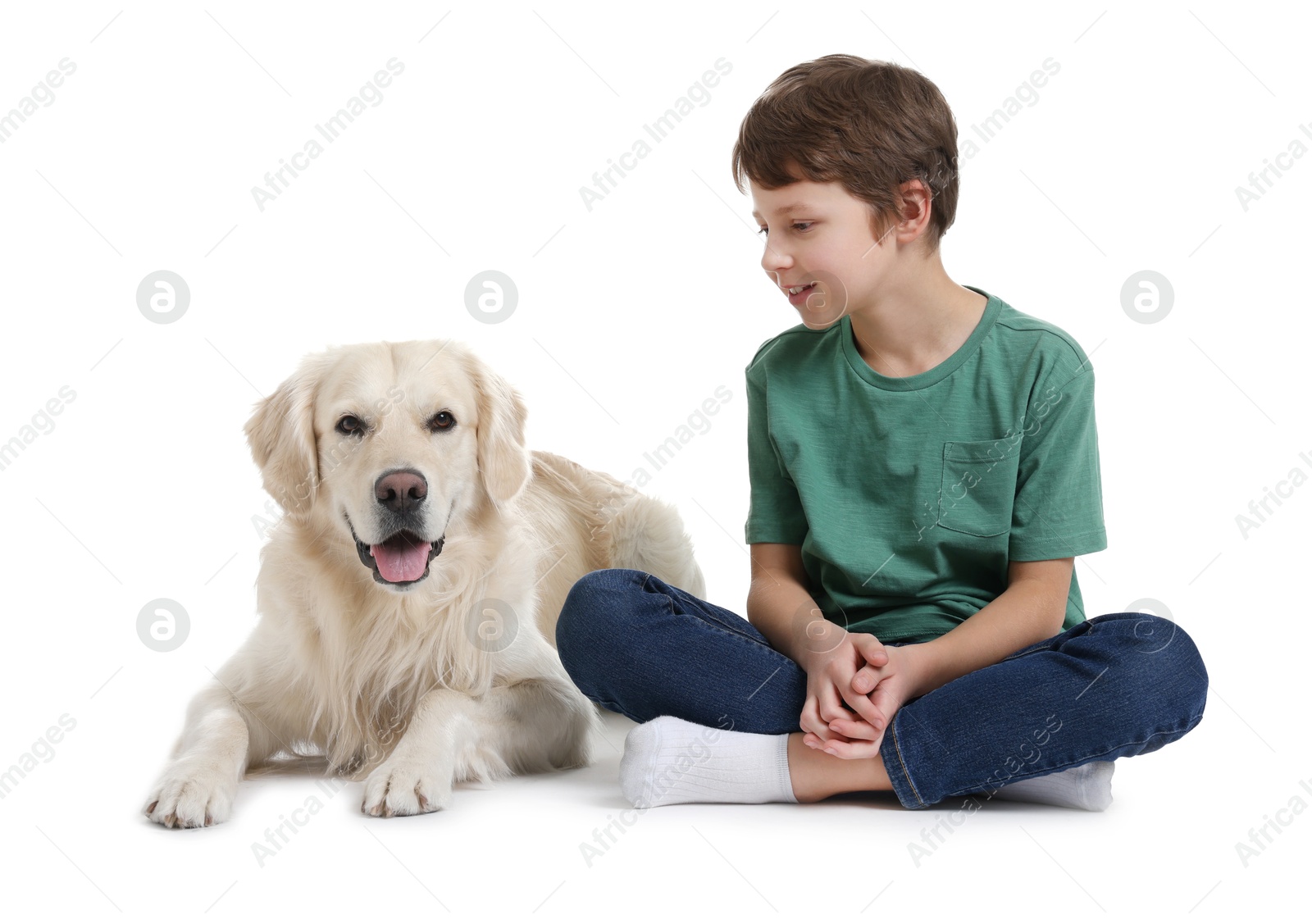 Photo of Boy with his cute dog on white background