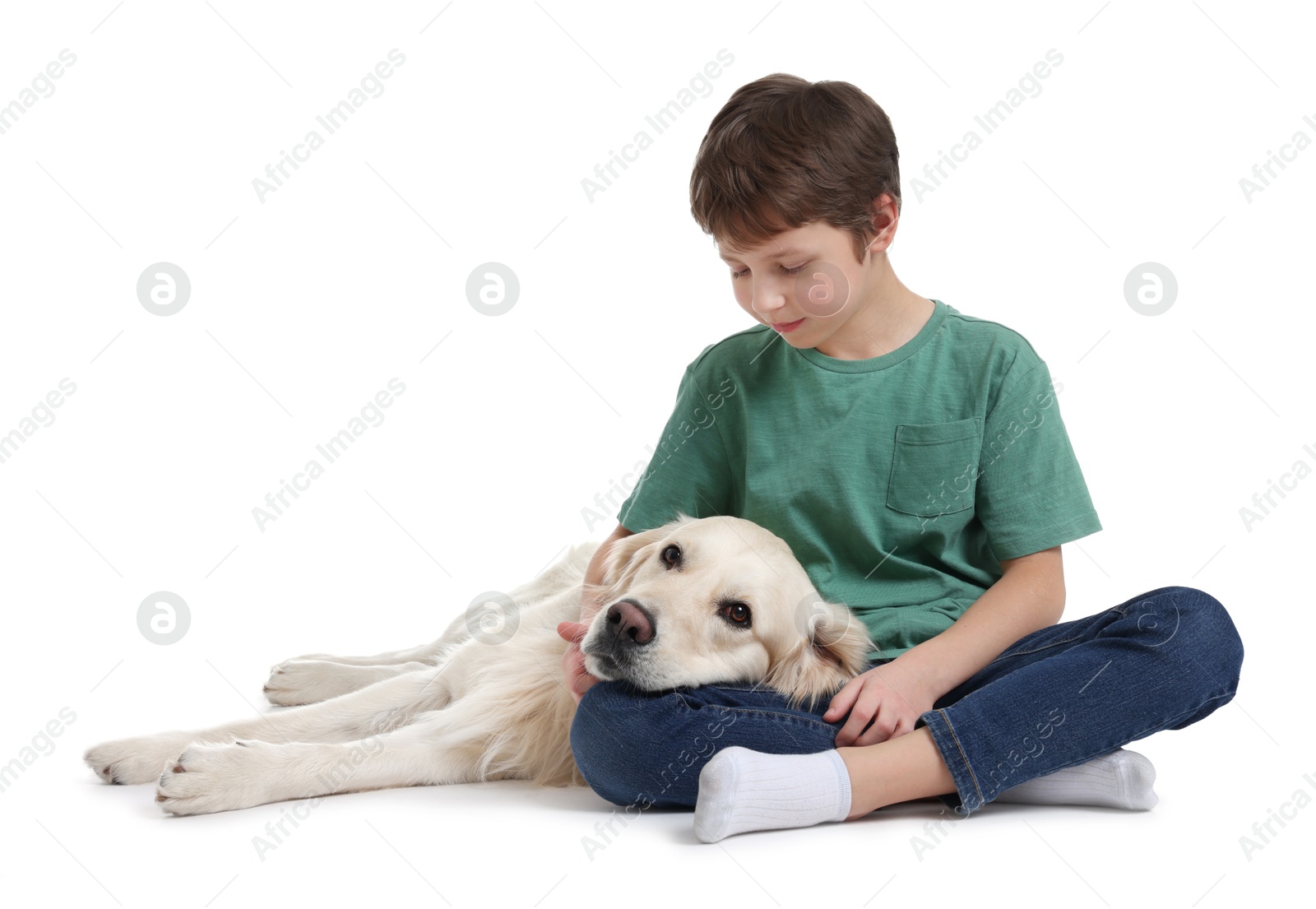 Photo of Boy with his cute dog on white background