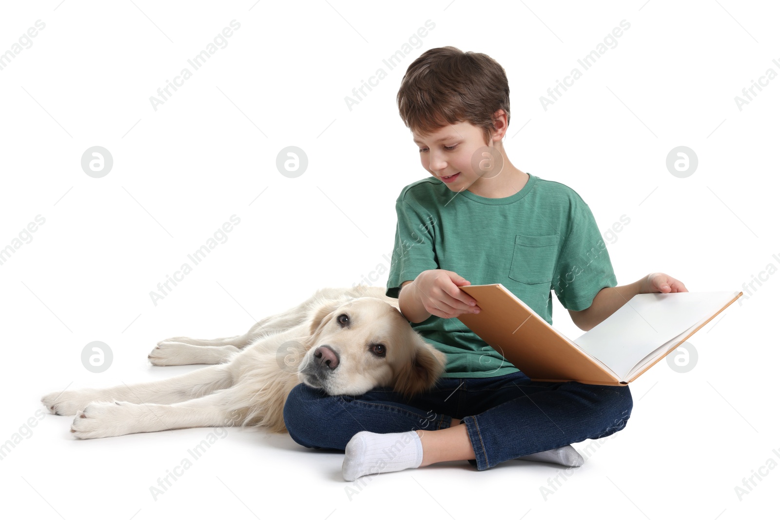 Photo of Boy reading book with his cute dog on white background