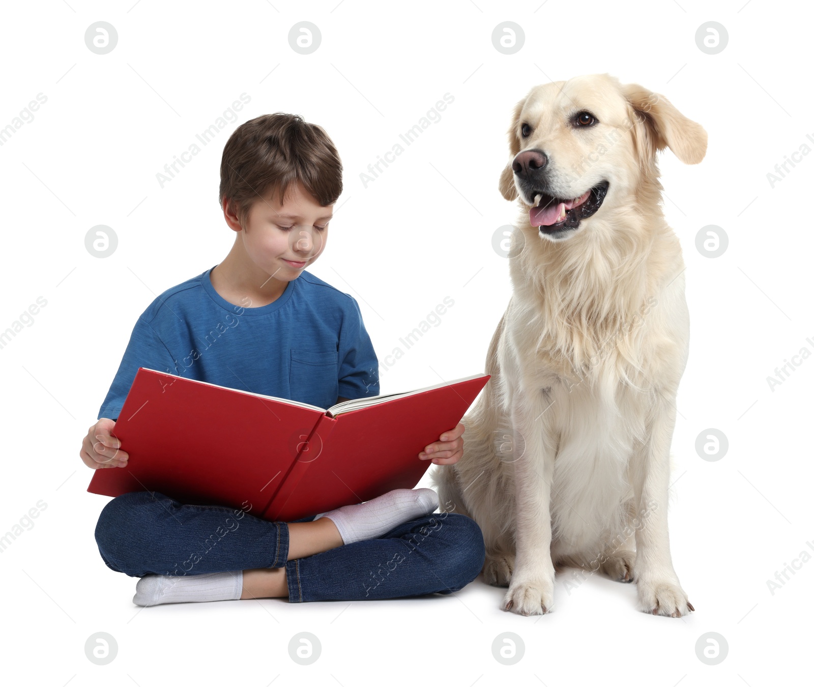 Photo of Boy reading book with his cute dog on white background