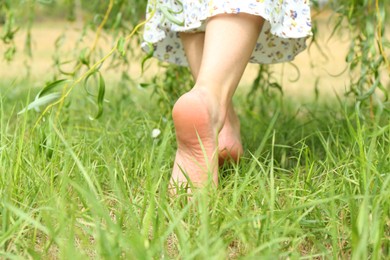 Photo of Woman walking barefoot on green grass outdoors, closeup