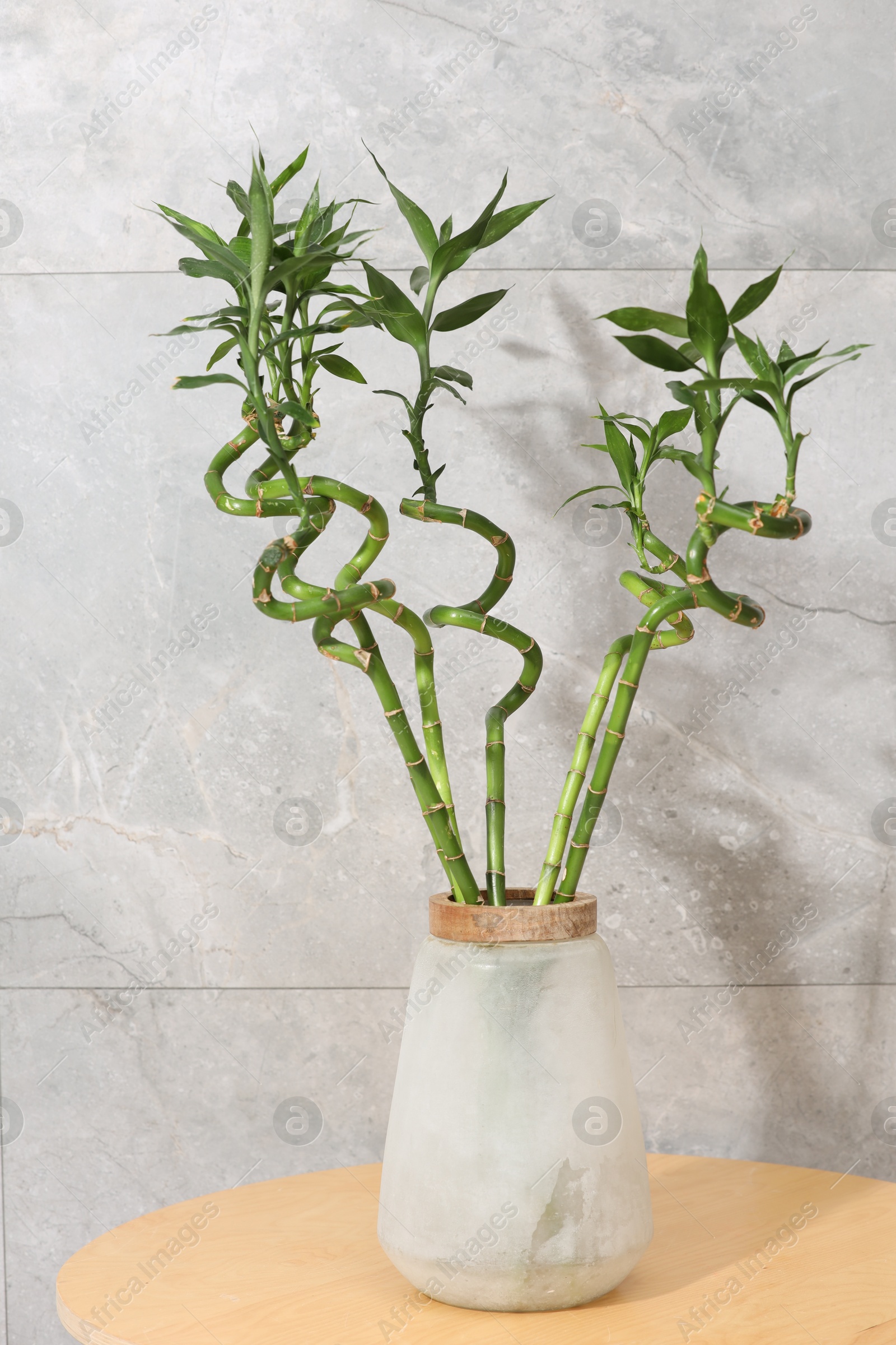 Photo of Decorative bamboo plant in vase on table near light tiled wall