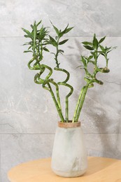 Decorative bamboo plant in vase on table near light tiled wall