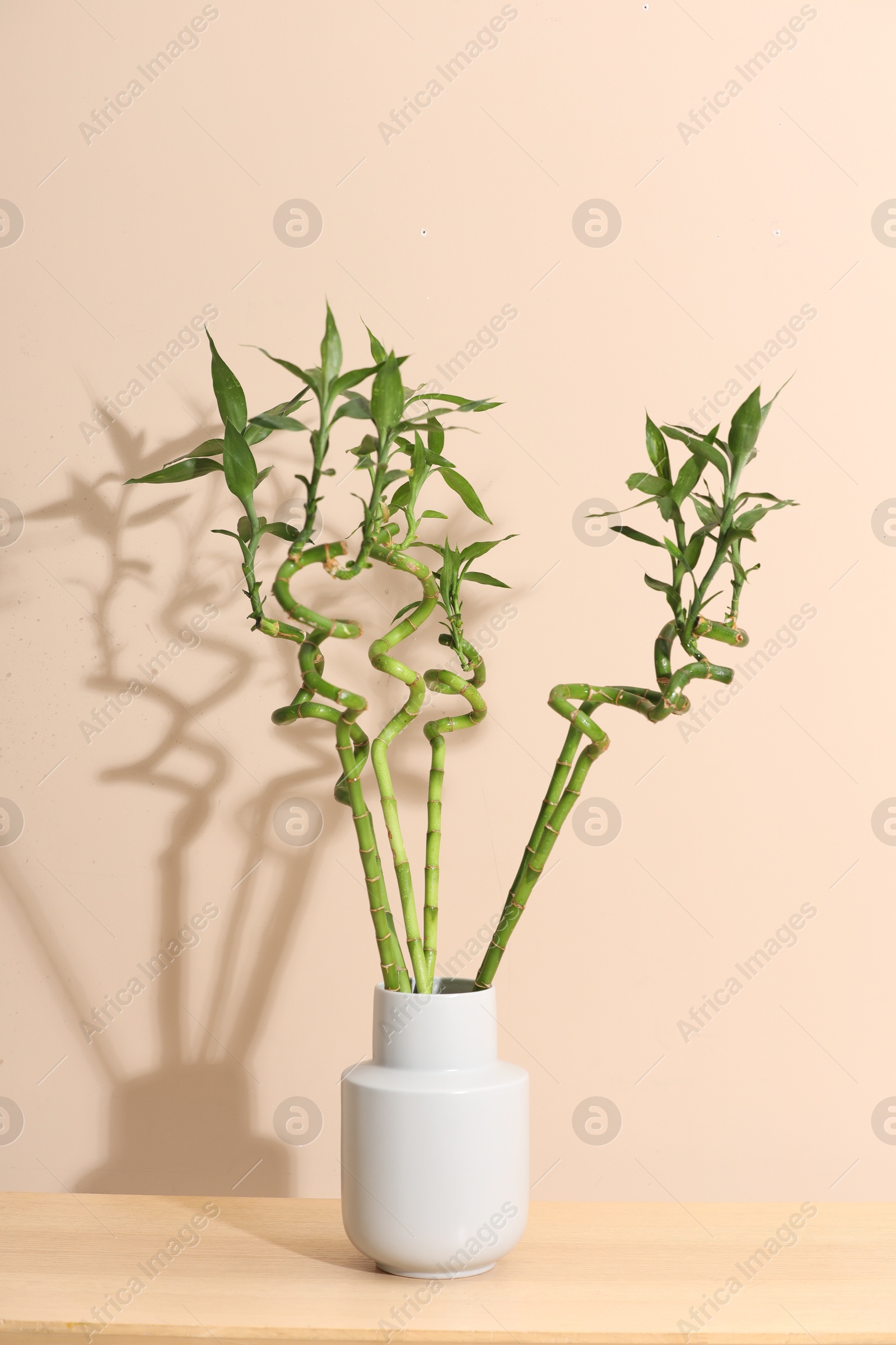 Photo of Decorative bamboo plant in vase on table near beige wall