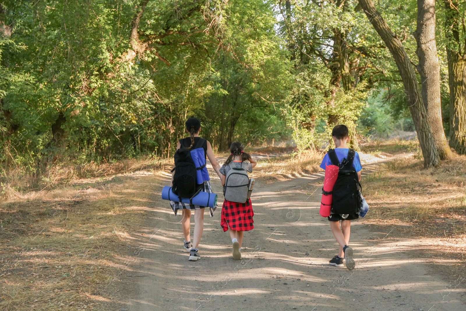 Photo of Family with backpacks travelling in beautiful forest, back view