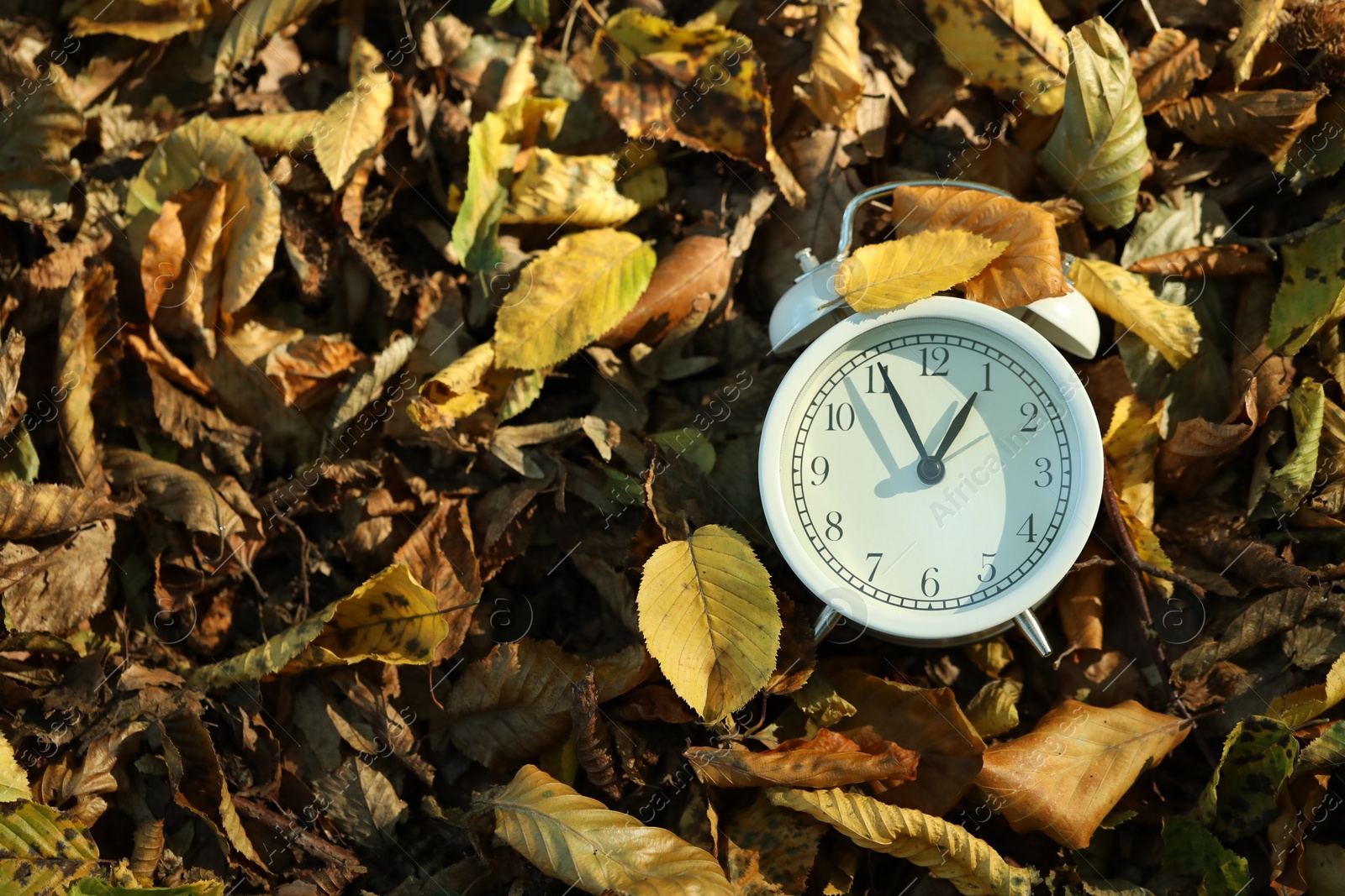 Photo of Alarm clock on fallen dry leaves outdoors, top view. Space for text