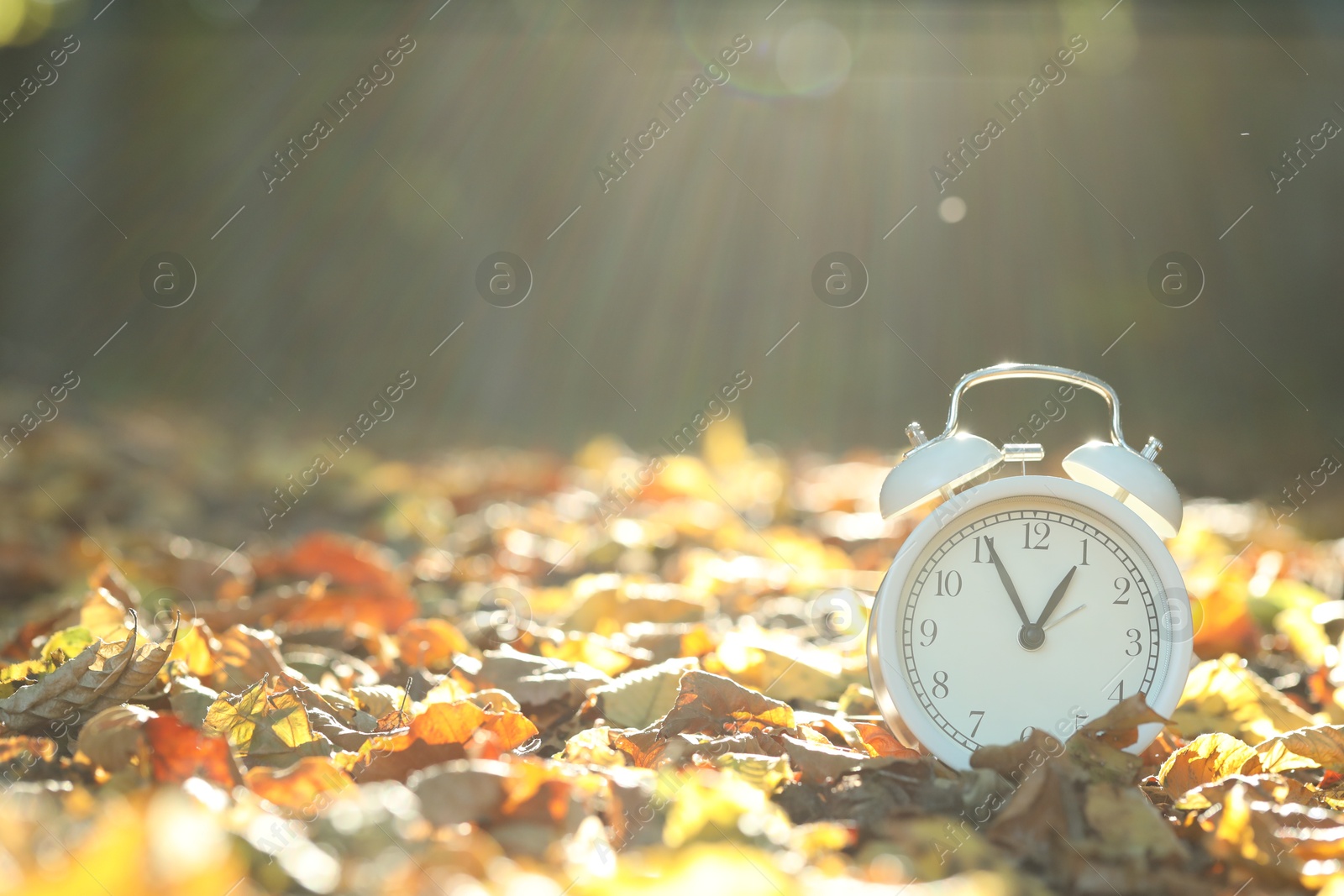 Photo of Alarm clock on fallen dry leaves outdoors. Space for text