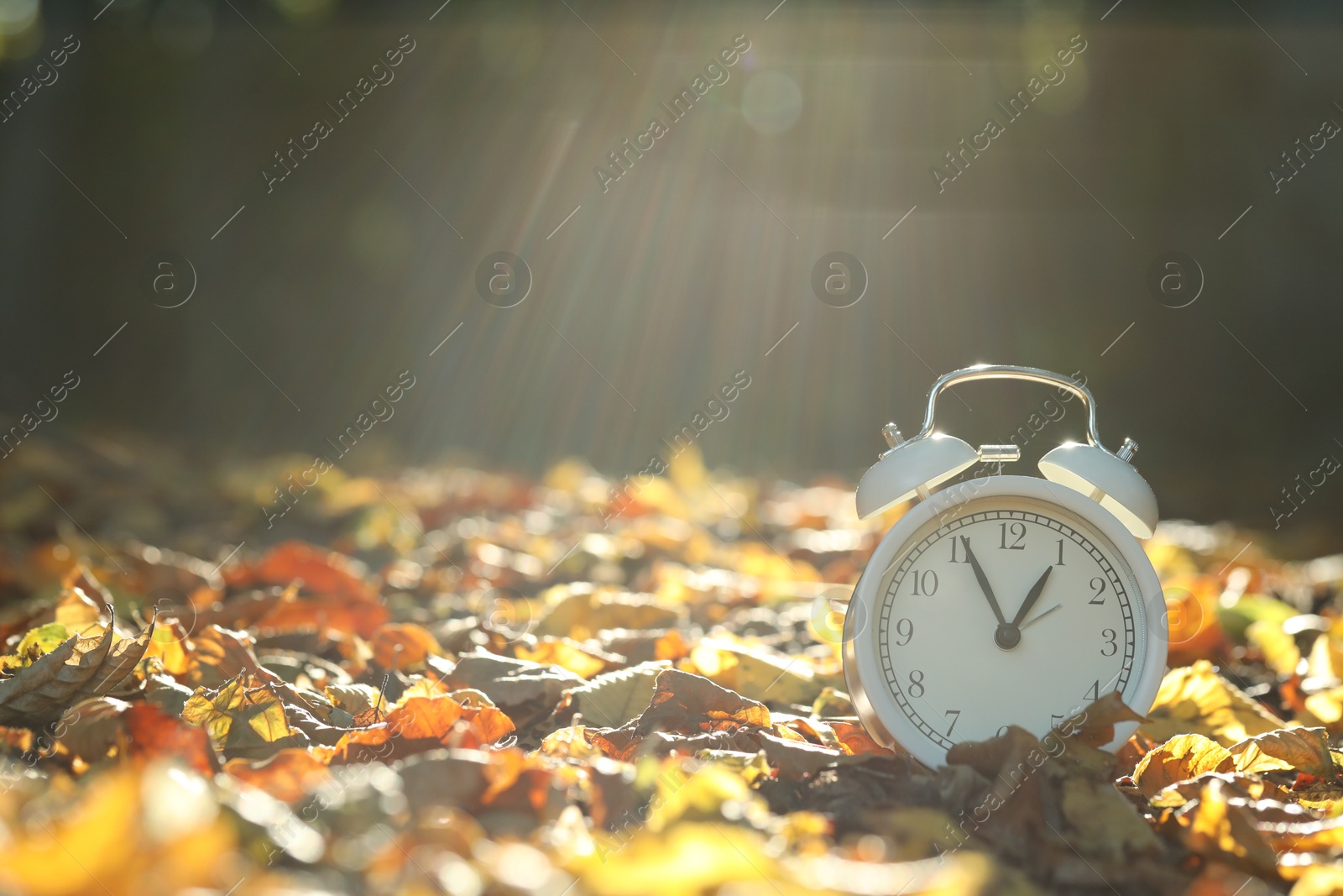 Photo of Alarm clock on fallen dry leaves outdoors. Space for text