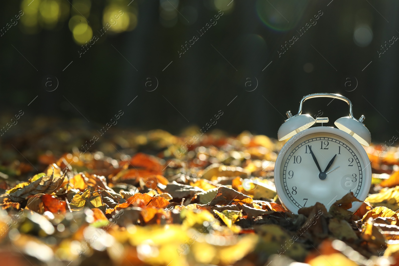 Photo of Alarm clock on fallen dry leaves outdoors. Space for text