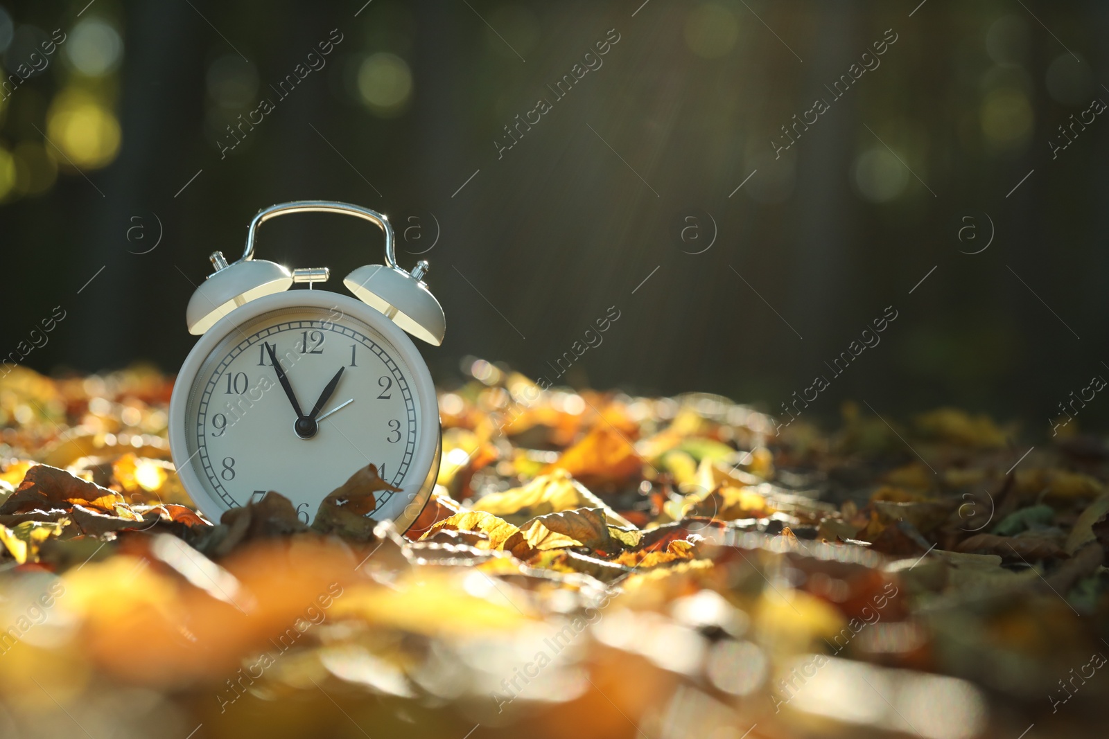 Photo of Alarm clock on fallen dry leaves outdoors. Space for text