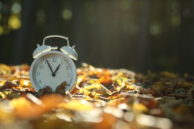 Photo of Alarm clock on fallen dry leaves outdoors. Space for text