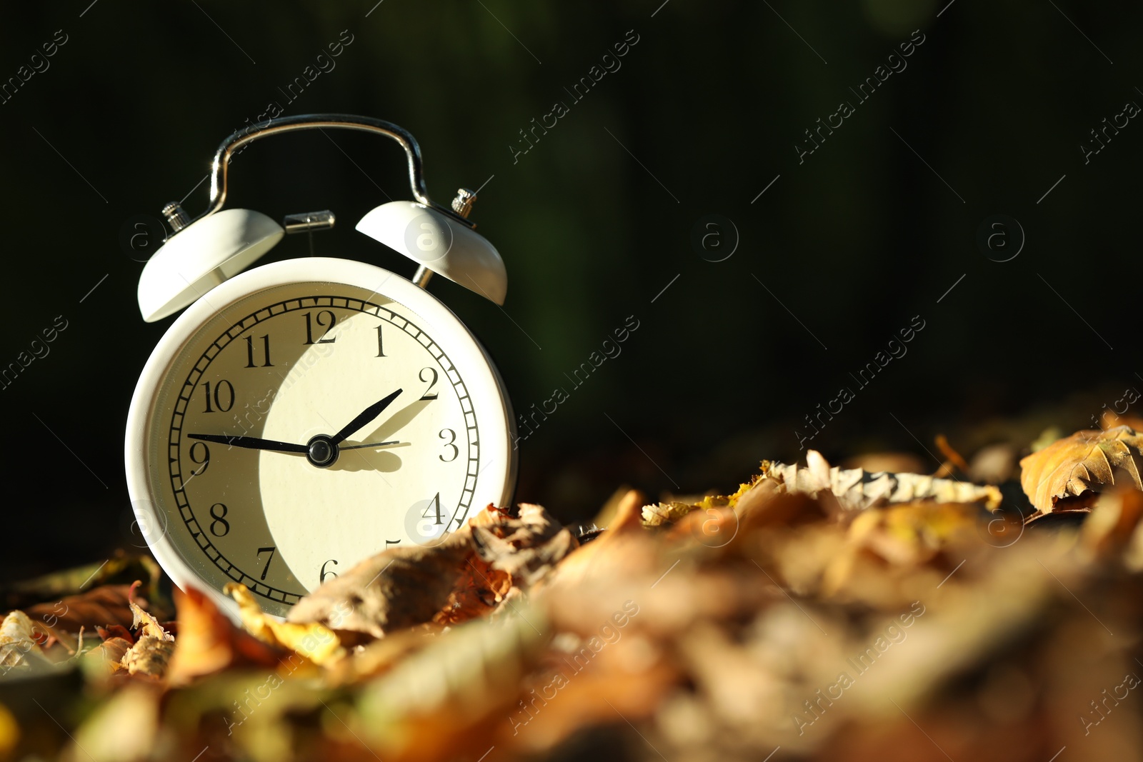 Photo of Alarm clock on fallen dry leaves outdoors, closeup. Space for text