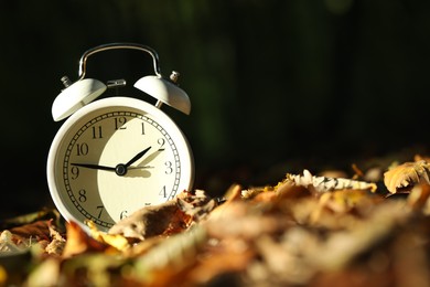 Photo of Alarm clock on fallen dry leaves outdoors, closeup. Space for text