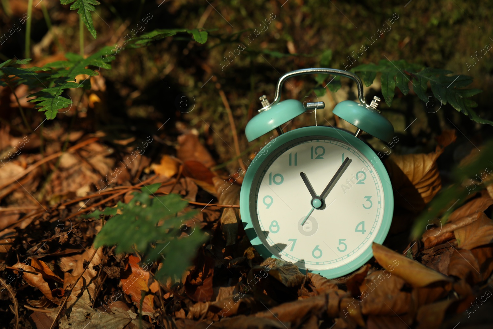 Photo of Alarm clock on fallen dry leaves outdoors, closeup. Space for text