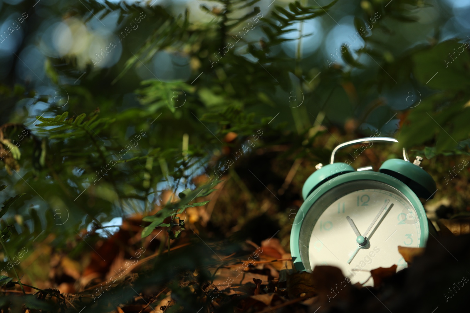 Photo of Alarm clock on fallen dry leaves outdoors, closeup. Space for text