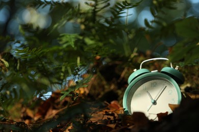 Photo of Alarm clock on fallen dry leaves outdoors, closeup. Space for text