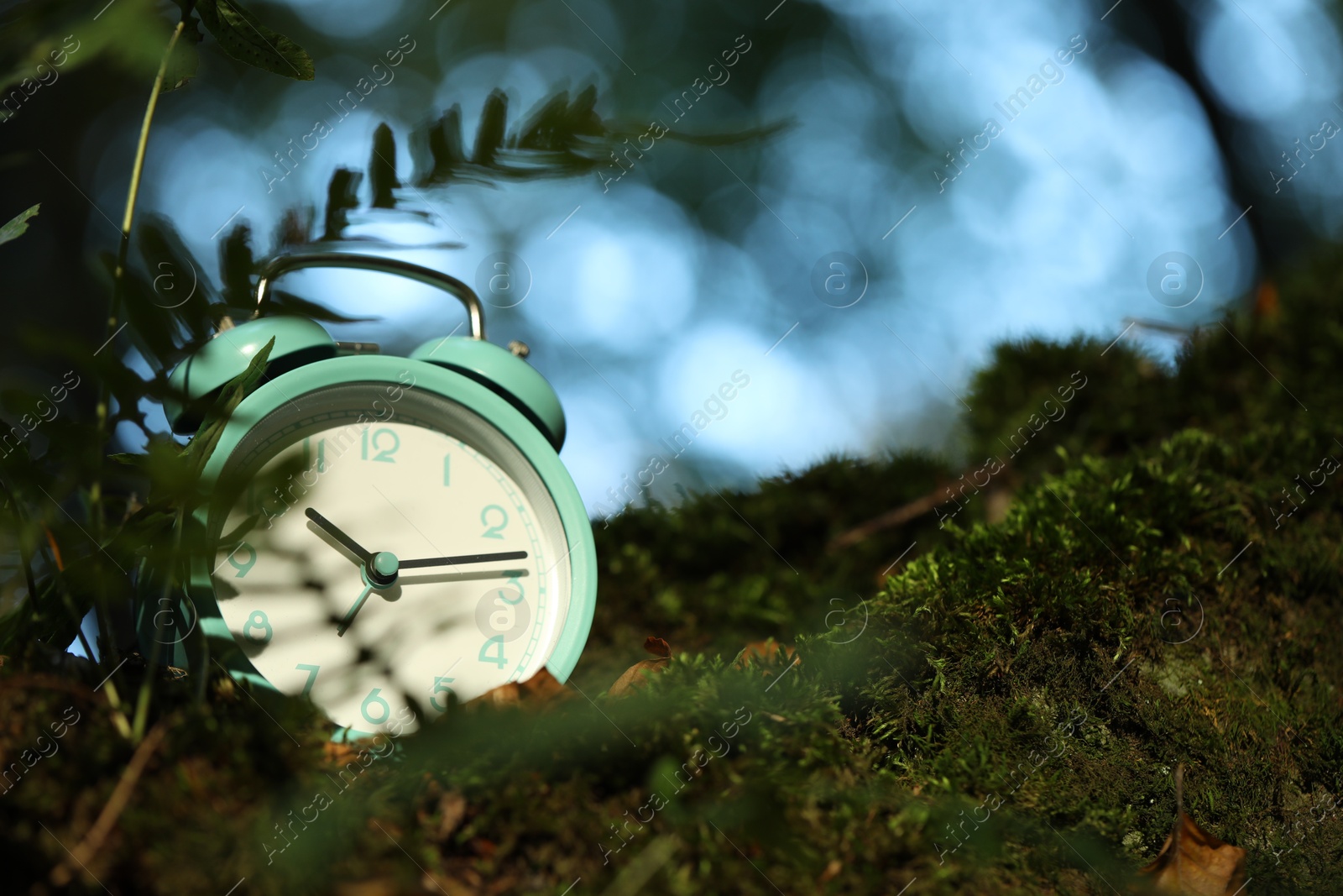 Photo of Alarm clock on green moss outdoors, closeup. Space for text