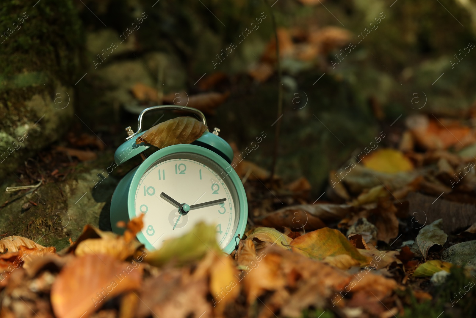 Photo of Alarm clock on fallen dry leaves outdoors, closeup. Space for text