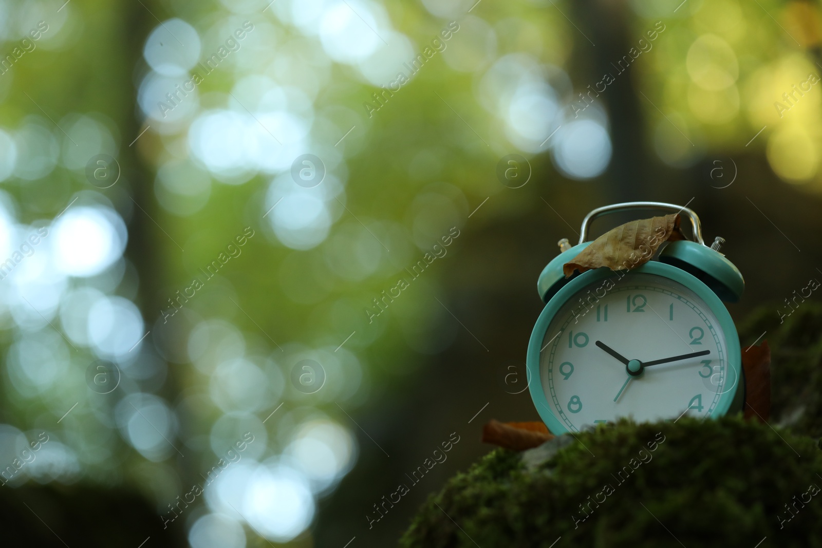 Photo of Alarm clock on green moss outdoors, closeup. Space for text