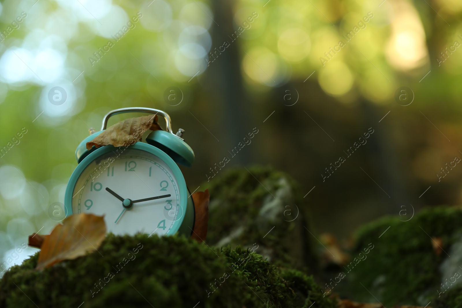 Photo of Alarm clock on green moss outdoors, closeup. Space for text