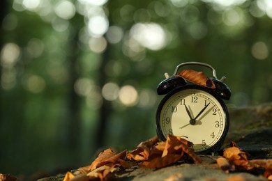 Photo of Alarm clock on fallen dry leaves and stones outdoors, closeup. Space for text