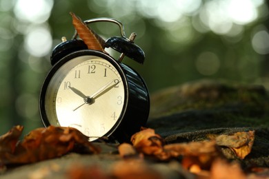 Photo of Alarm clock on fallen dry leaves and stones outdoors, closeup. Space for text