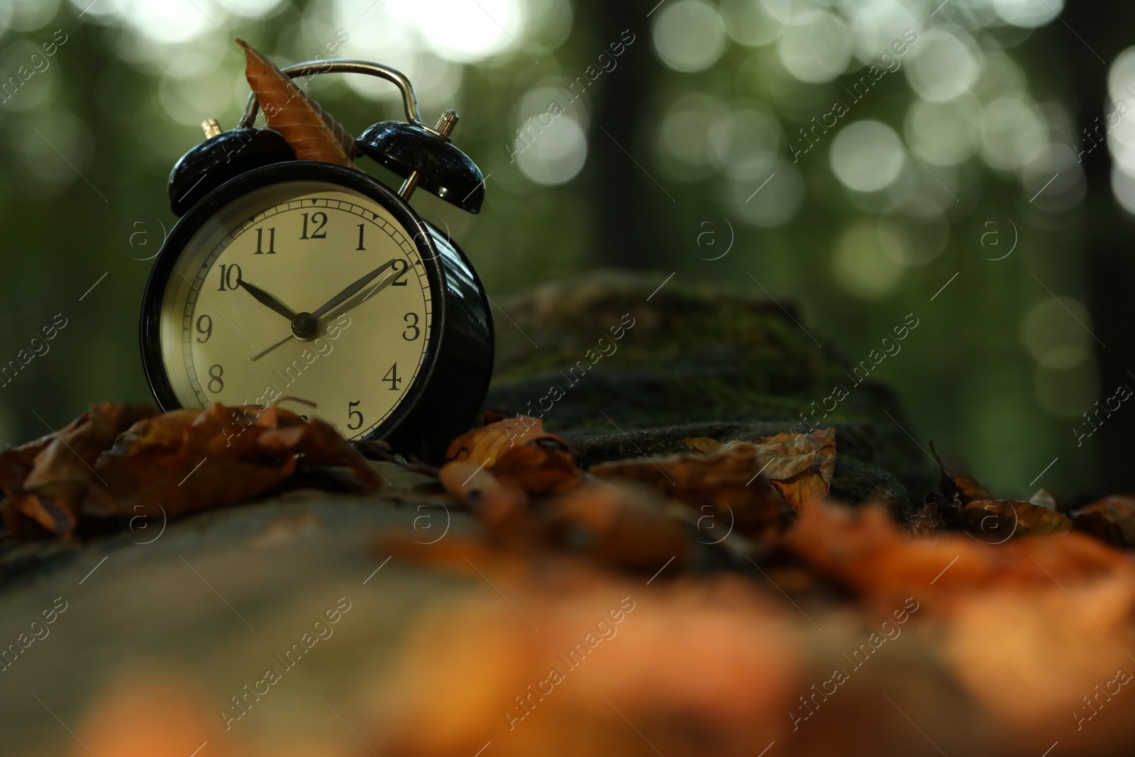 Photo of Alarm clock on fallen dry leaves and stones outdoors, closeup. Space for text