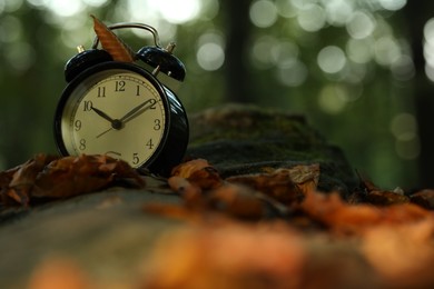 Photo of Alarm clock on fallen dry leaves and stones outdoors, closeup. Space for text