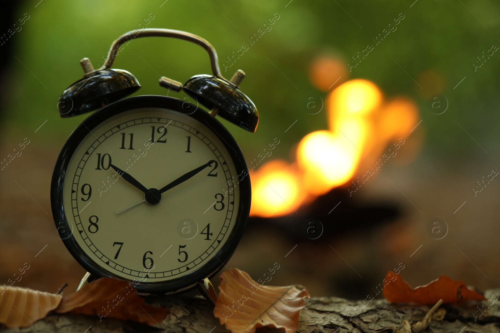 Photo of Alarm clock on fallen dry leaves outdoors, closeup. Space for text