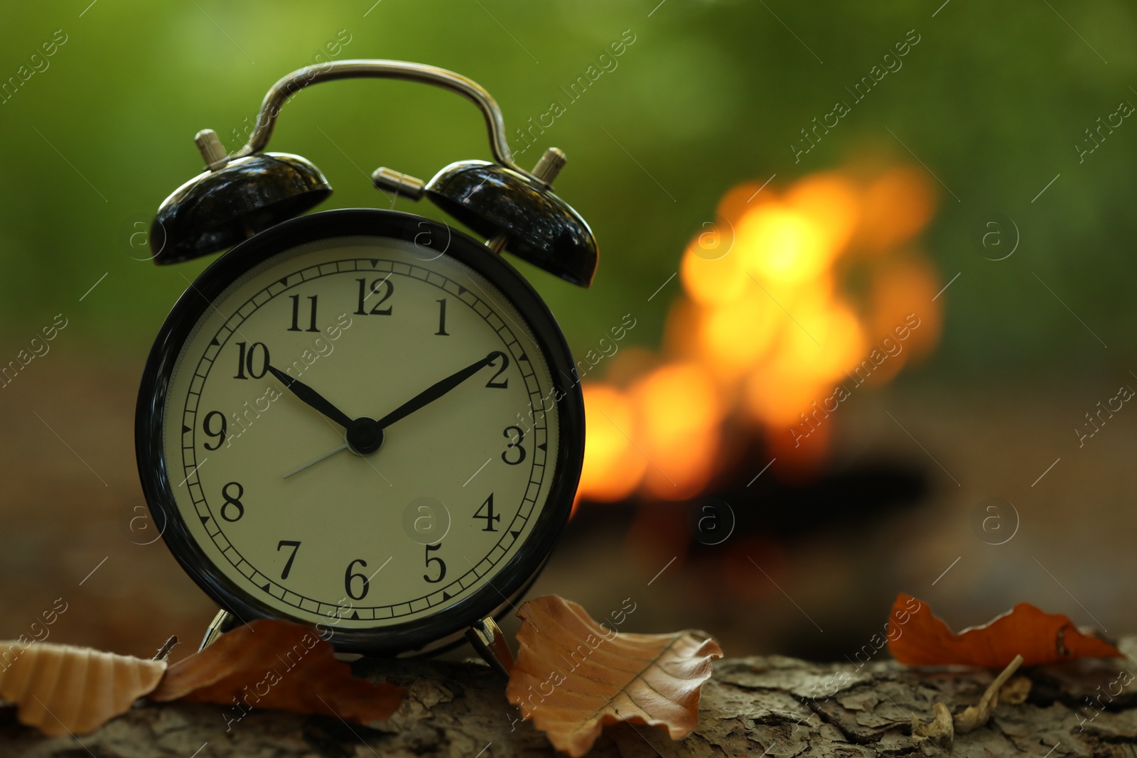 Photo of Alarm clock on fallen dry leaves outdoors, closeup. Space for text