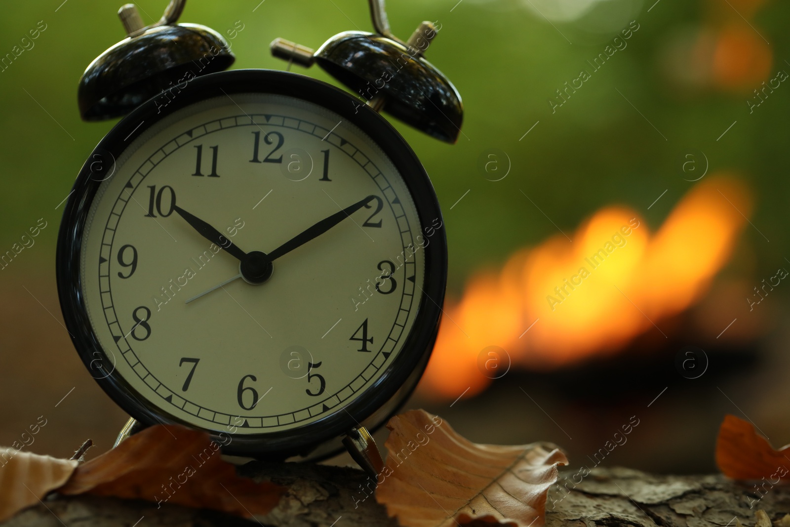 Photo of Alarm clock on fallen dry leaves outdoors, closeup. Space for text