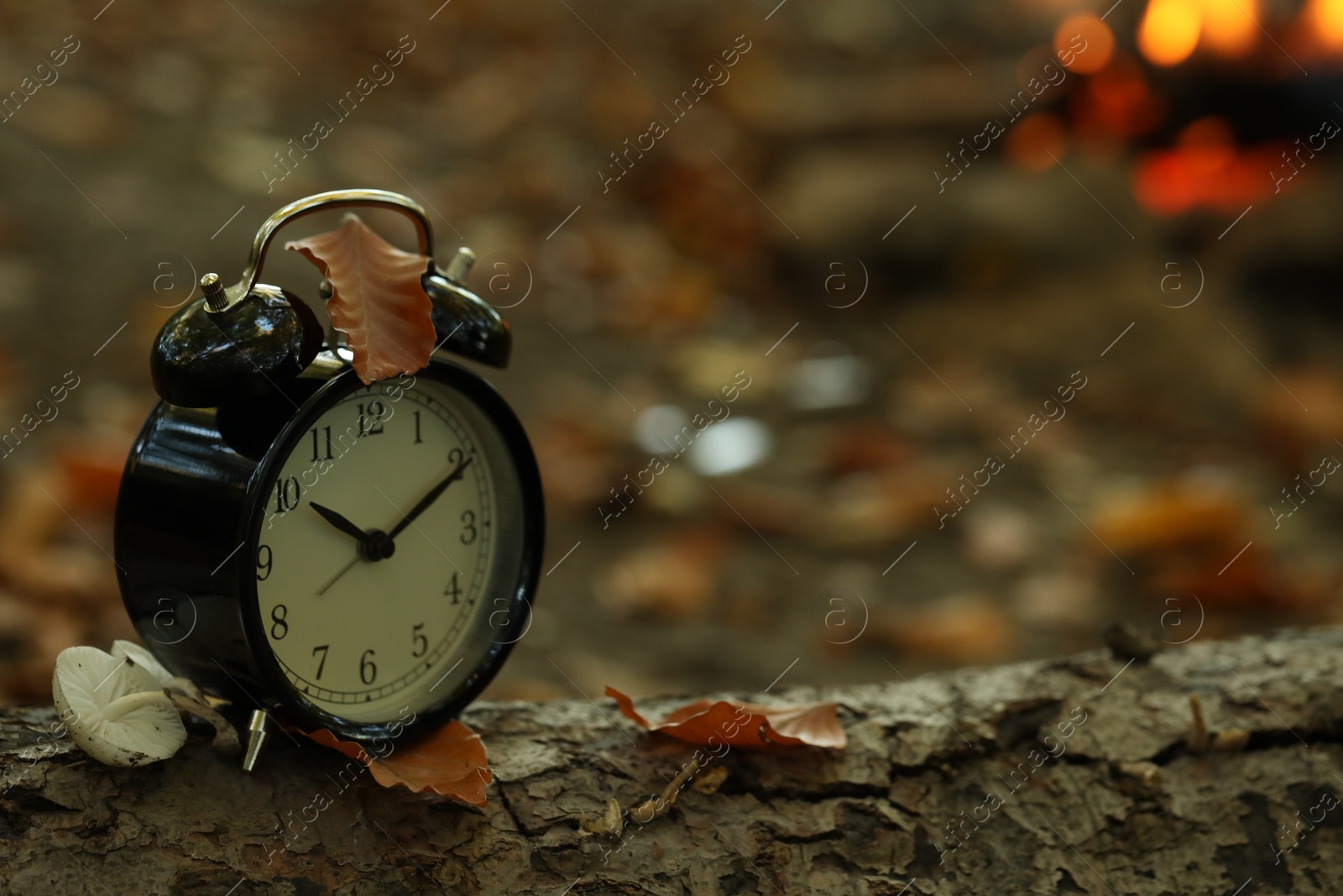 Photo of Alarm clock on fallen dry leaves outdoors, closeup. Space for text