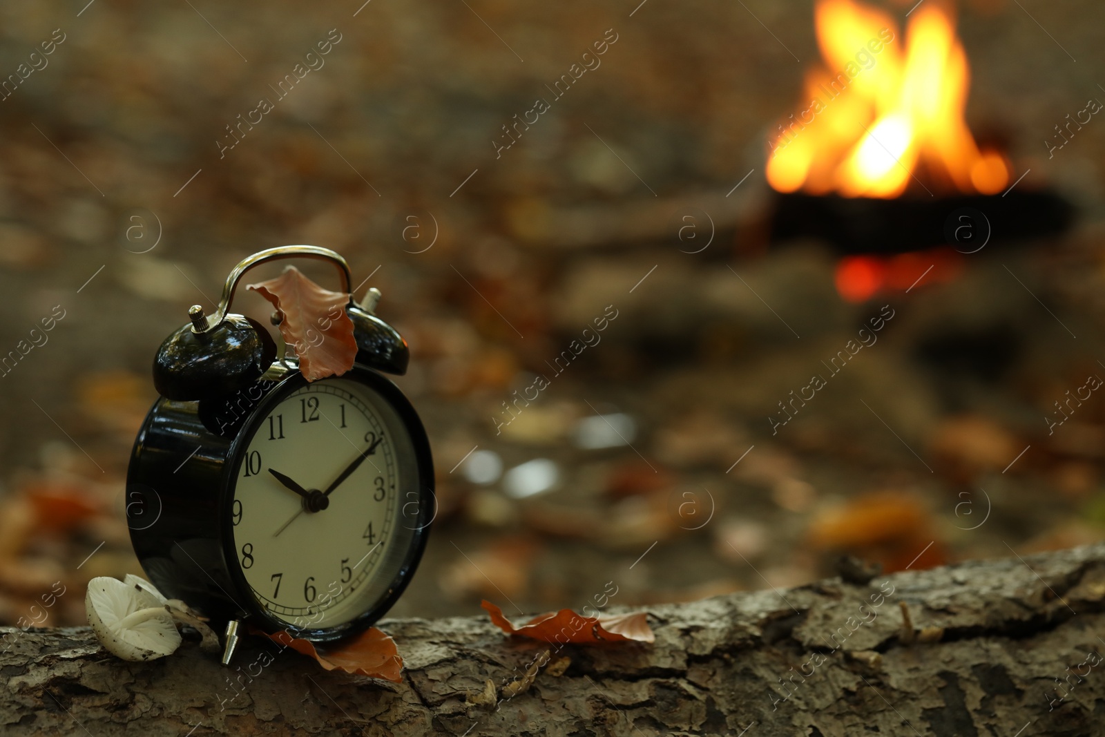 Photo of Alarm clock on fallen dry leaves outdoors, closeup. Space for text