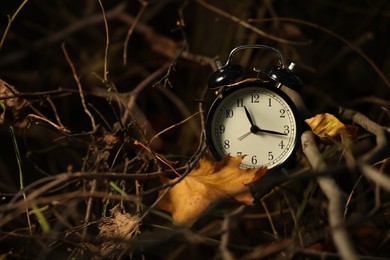 Photo of Alarm clock on dry branches outdoors, closeup. Space for text