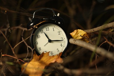 Photo of Alarm clock on dry branches outdoors, closeup