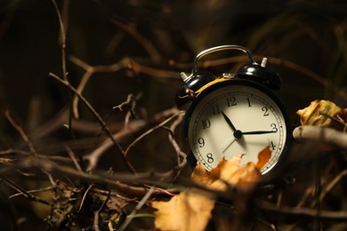 Photo of Alarm clock on dry branches outdoors, closeup. Space for text