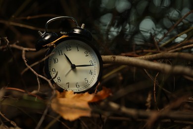 Photo of Alarm clock on dry branches outdoors, closeup. Space for text